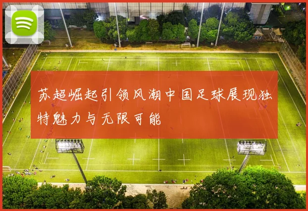 苏超崛起引领风潮中国足球展现独特魅力与无限可能