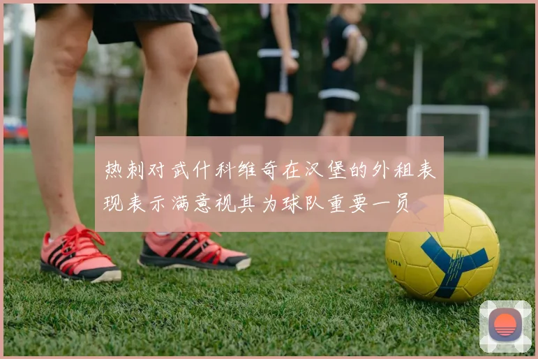 热刺对武什科维奇在汉堡的外租表现表示满意视其为球队重要一员
