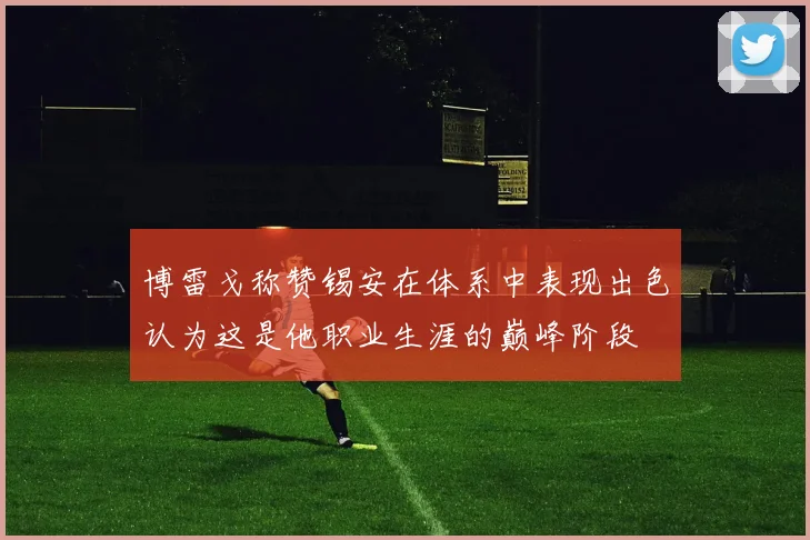 博雷戈称赞锡安在体系中表现出色认为这是他职业生涯的巅峰阶段